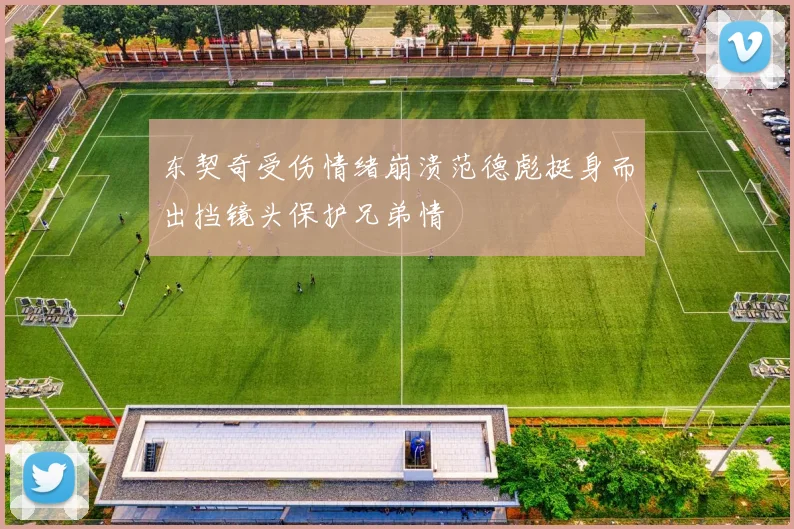 东契奇受伤情绪崩溃范德彪挺身而出挡镜头保护兄弟情
